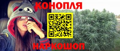 дмт Аргун