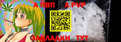 дмт Аргун