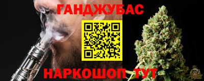 дмт Аргун