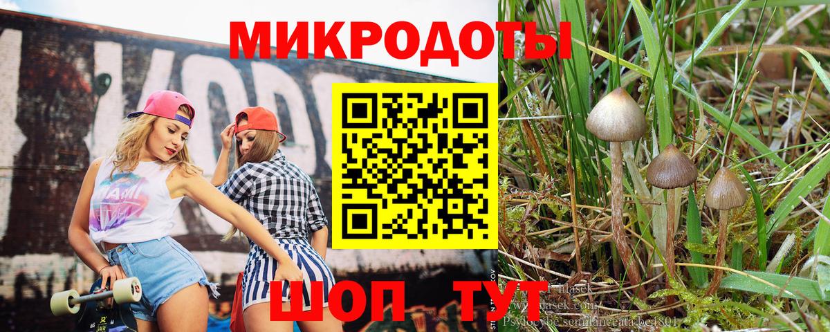 Галлюциногенные грибы Cubensis Балаково